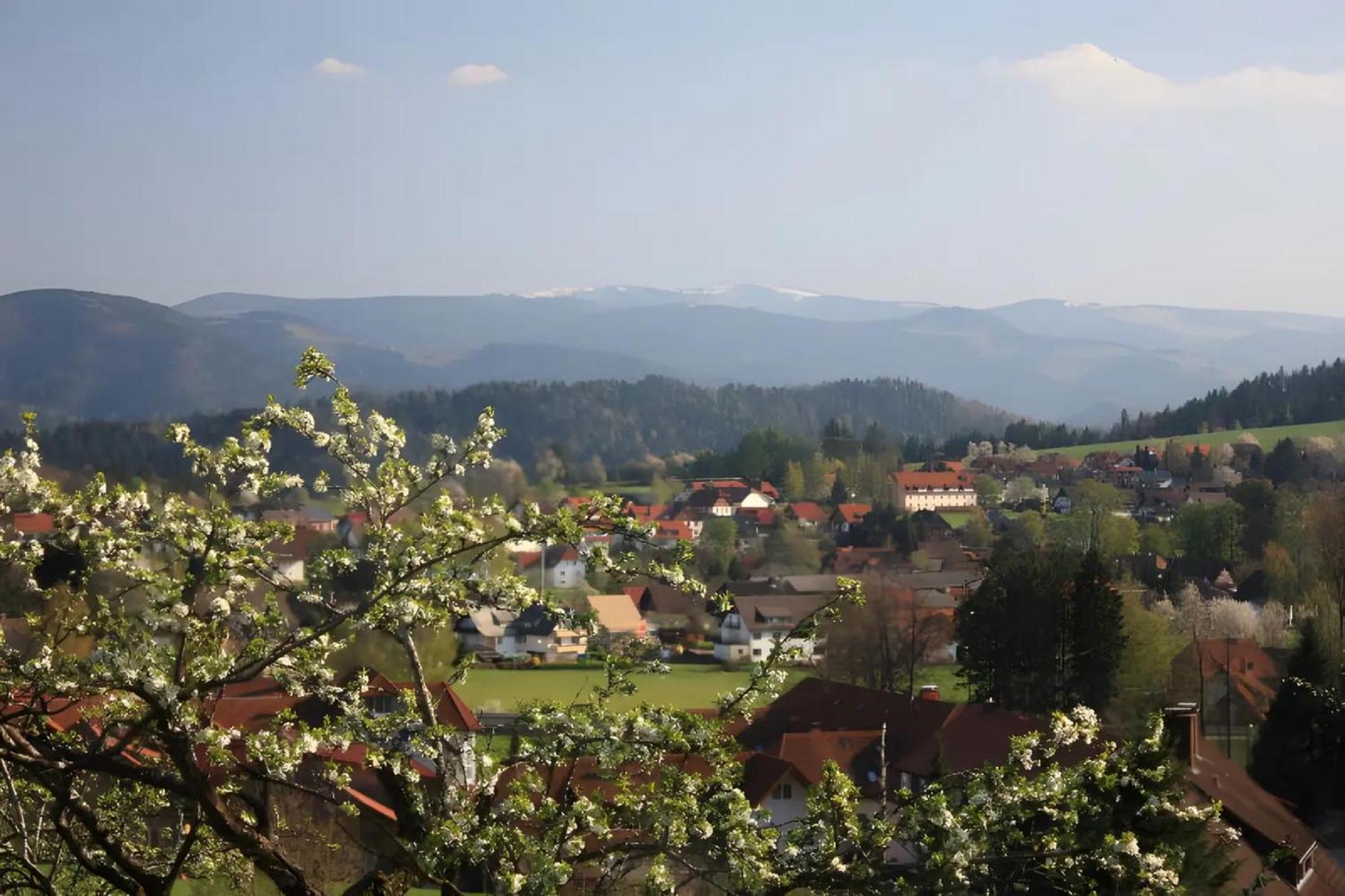 Apartamento Ferien Auf Dem Steingrubenhof Sankt Peter Exterior foto